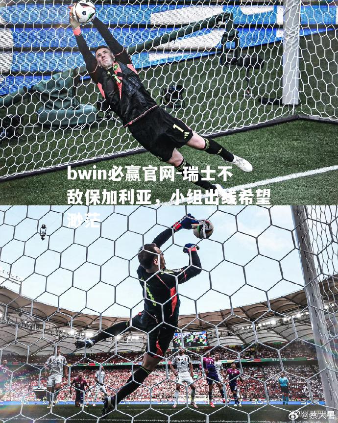 瑞士不敌保加利亚，小组出线希望渺茫