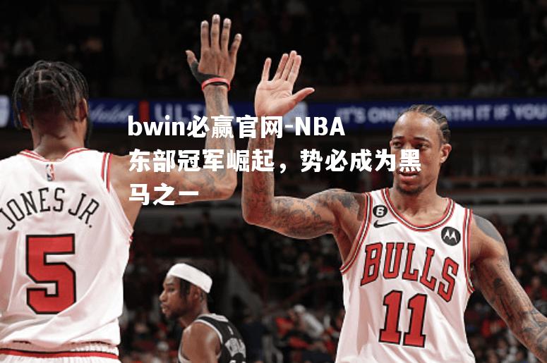 NBA东部冠军崛起，势必成为黑马之一