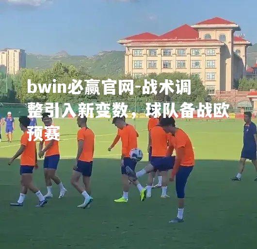 战术调整引入新变数，球队备战欧预赛