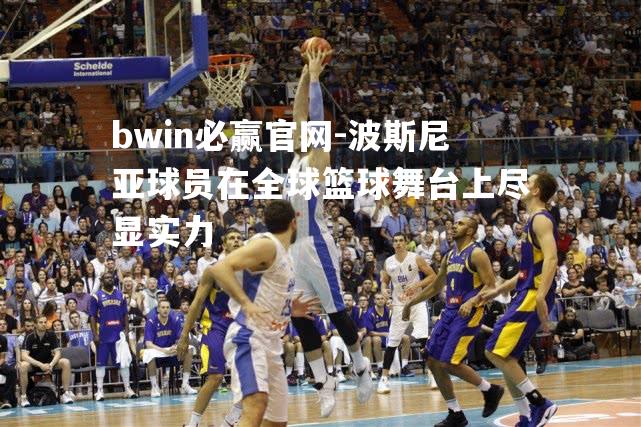 波斯尼亚球员在全球篮球舞台上尽显实力