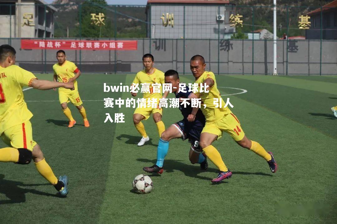 足球比赛中的情绪高潮不断，引人入胜