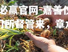 嘉善仪盛临门所督管来，章水写出